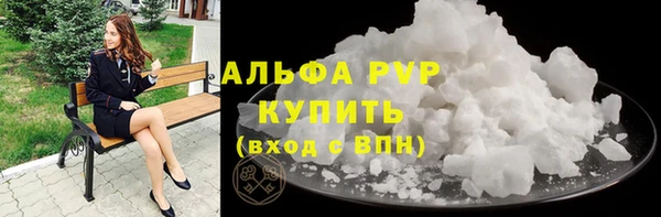гидра Новодвинск