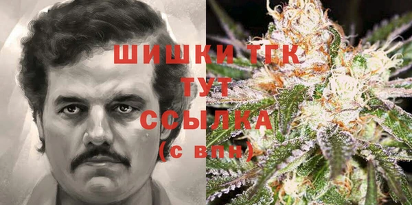 гидра Новодвинск