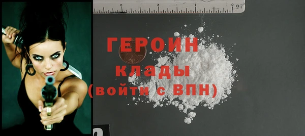 гидра Новодвинск