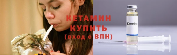 гидра Новодвинск