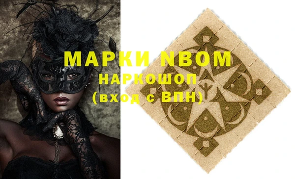 apvp Новозыбков