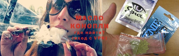 гидра Новодвинск