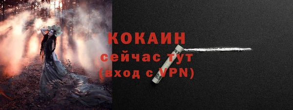 apvp Новозыбков