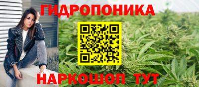 винт Гай
