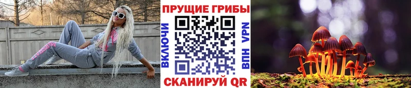 купить наркоту  Полевской  Псилоцибиновые грибы прущие грибы 