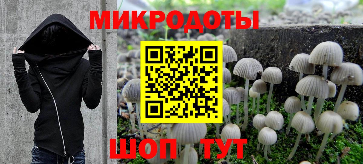 Галлюциногенные грибы Cubensis Полевской