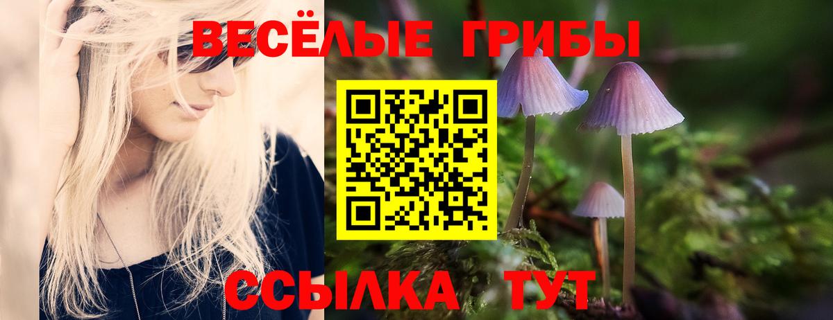 Бошки Шишки  Полевской  Мефедрон  А ПВП  Вход с VPN  КОКАИН  Масло ТГК 