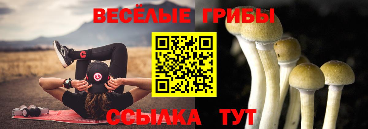 Псилоцибиновые грибы ЛСД Полевской
