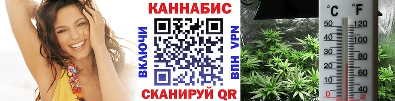 Бошки Шишки план купить наркотики цена Полевской